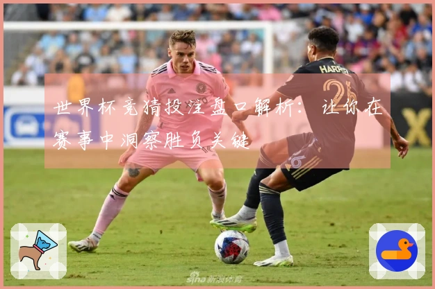 世界杯竞猜投注盘口解析：让你在赛事中洞察胜负关键