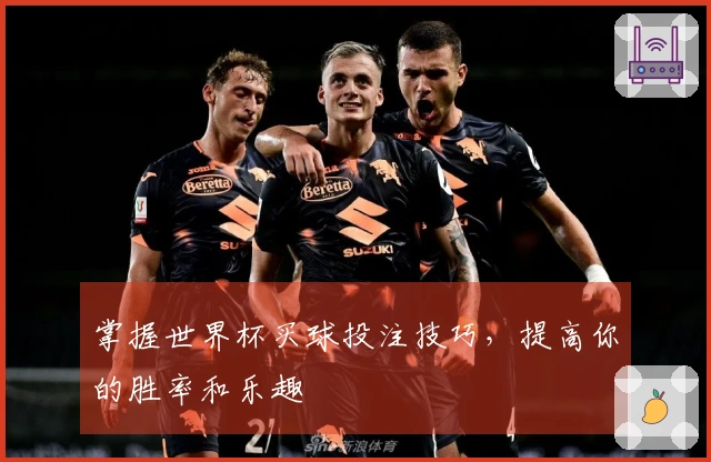 掌握世界杯买球投注技巧，提高你的胜率和乐趣