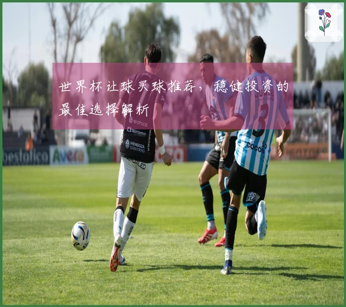 世界杯让球买球推荐，稳健投资的最佳选择解析