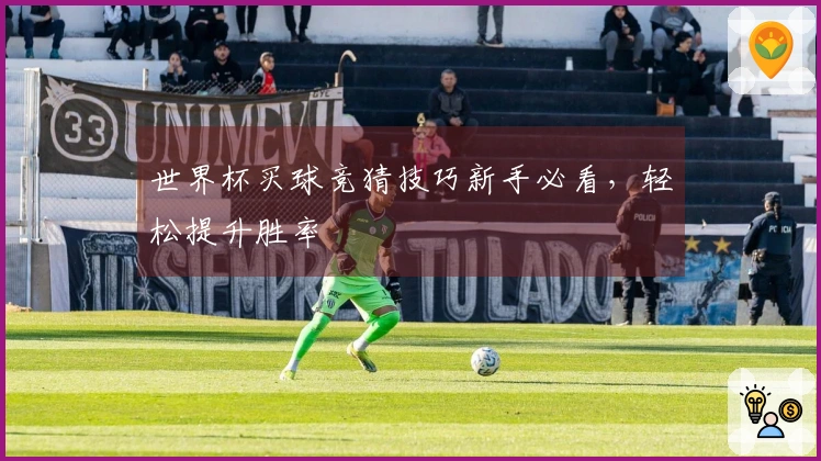 世界杯买球竞猜技巧新手必看，轻松提升胜率