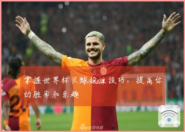 掌握世界杯买球投注技巧，提高你的胜率和乐趣