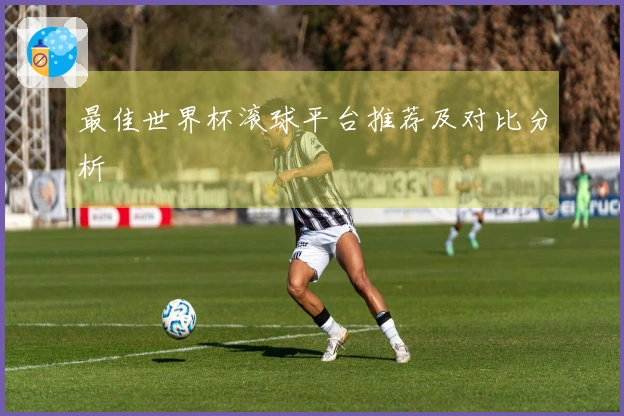 最佳世界杯滚球平台推荐及对比分析
