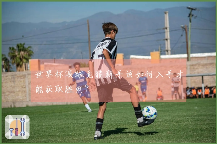 世界杯滚球竞猜新手该如何入手才能获取胜利？