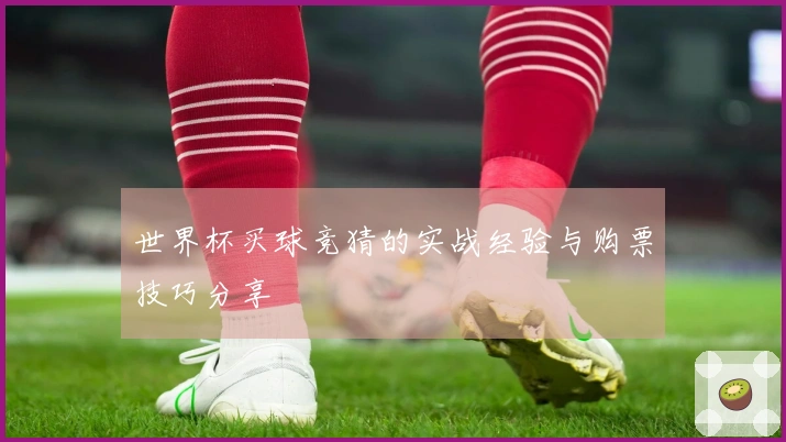 世界杯买球竞猜的实战经验与购票技巧分享