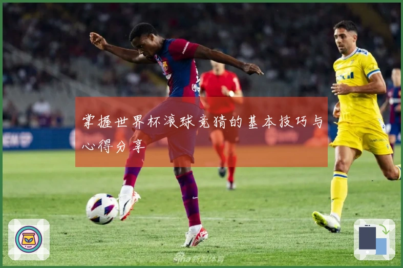 掌握世界杯滚球竞猜的基本技巧与心得分享
