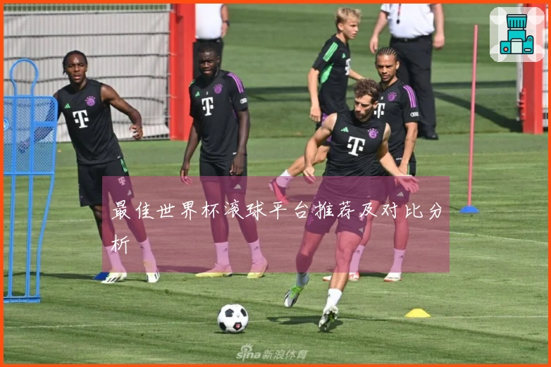 最佳世界杯滚球平台推荐及对比分析