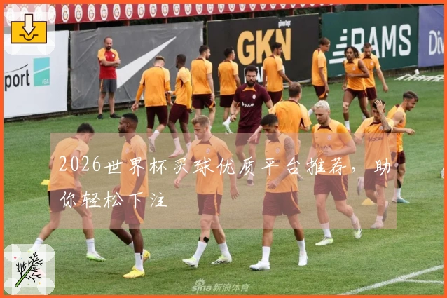 2026世界杯买球优质平台推荐，助你轻松下注