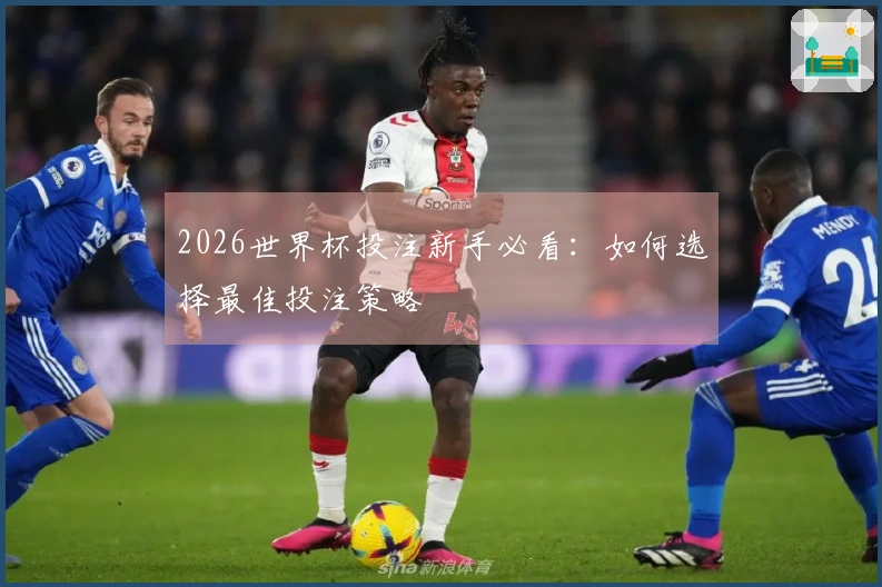 2026世界杯投注新手必看：如何选择最佳投注策略