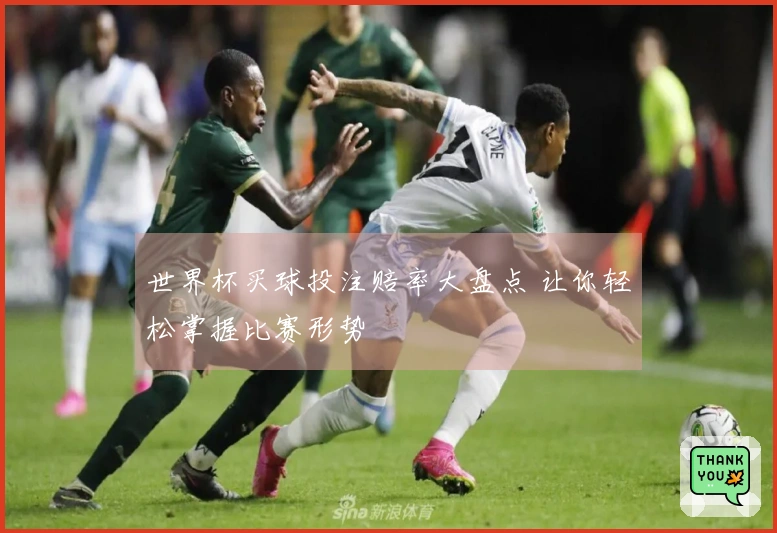 世界杯买球投注赔率大盘点 让你轻松掌握比赛形势