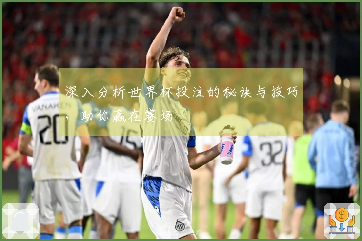 深入分析世界杯投注的秘诀与技巧，助你赢在赛场
