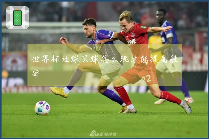 世界杯让球买球怎么玩才能提高胜率