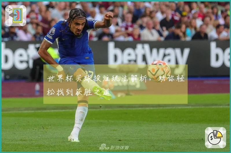 世界杯买球投注玩法解析，助你轻松找到获胜之道