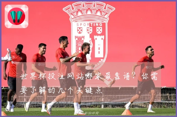 世界杯投注网站哪家最靠谱？你需要了解的几个关键点