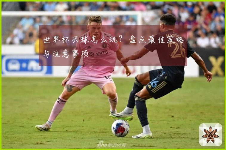 世界杯买球怎么玩？盘点最佳策略与注意事项