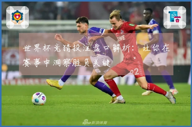 世界杯竞猜投注盘口解析：让你在赛事中洞察胜负关键