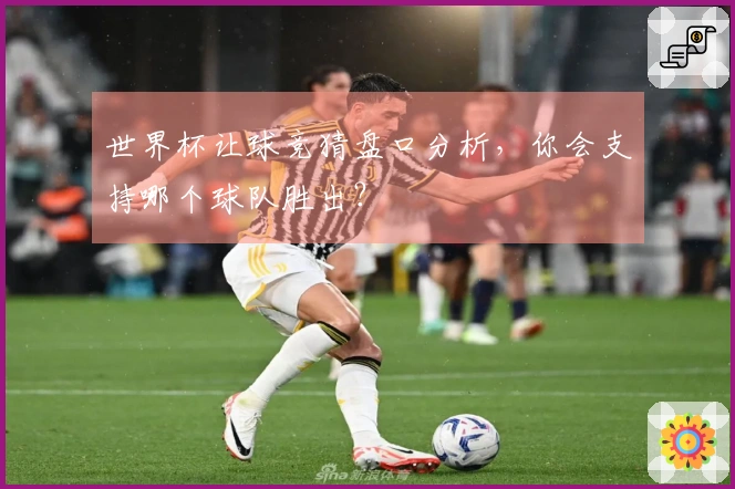 世界杯让球竞猜盘口分析，你会支持哪个球队胜出？