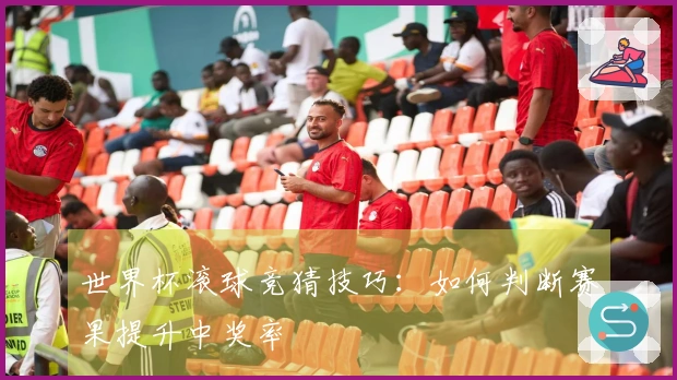 世界杯滚球竞猜技巧：如何判断赛果提升中奖率