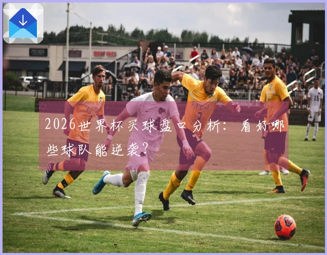 2026世界杯买球盘口分析：看好哪些球队能逆袭？